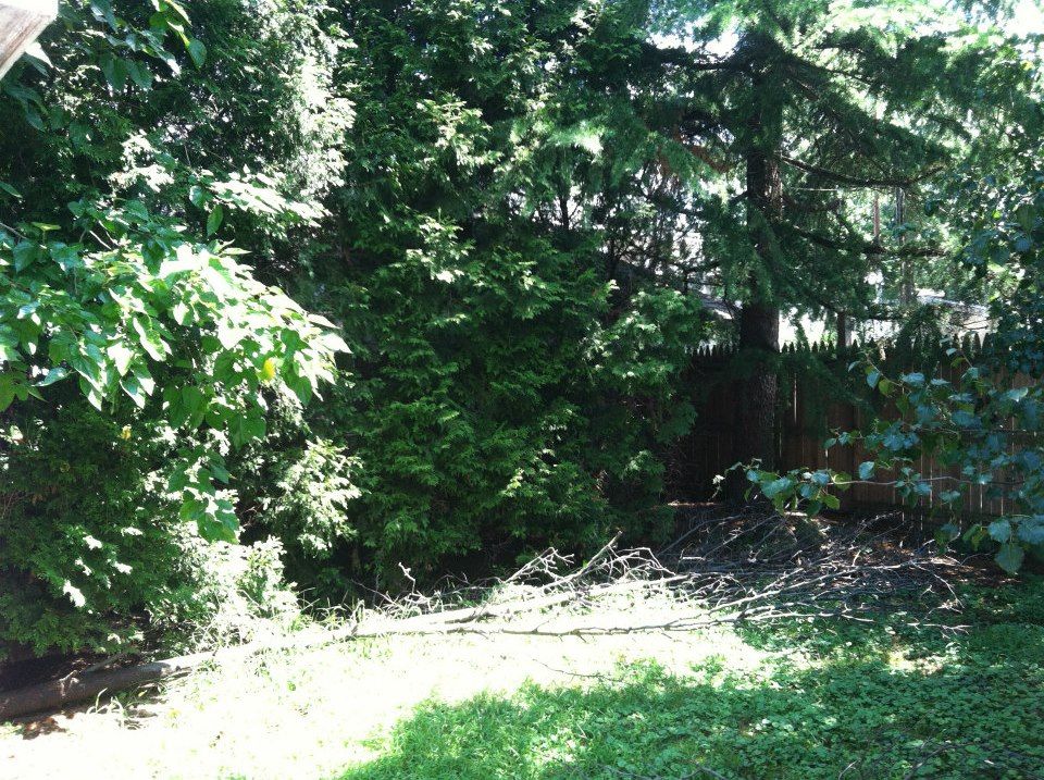 photo 428875_10151016923852285_1101784654_n.jpg